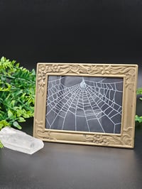 Image 2 of Vintage floral detail brass framed preserved web