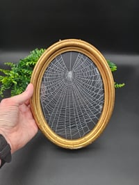 Image 4 of Large Stunning Italian vintage oval gilt frame with preserved web