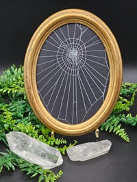 Image 1 of  Large Stunning Italian vintage oval gilt frame with preserved web - B