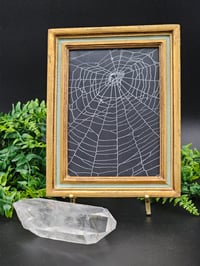 Image 1 of Large gold Gilt vintage Italian framed preserved web 