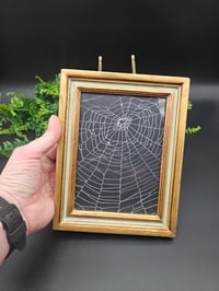 Image 3 of Large gold Gilt vintage Italian framed preserved web 