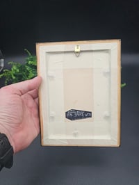 Image 4 of Large gold Gilt vintage Italian framed preserved web 