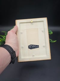 Image 4 of Large gold Gilt vintage Italian framed preserved web -  B