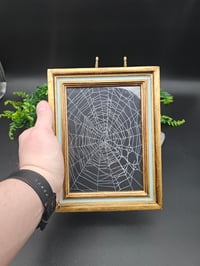 Image 1 of Large gold Gilt vintage Italian framed preserved web -  B