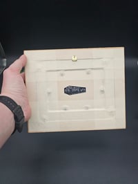 Image 3 of Large gold Gilt vintage Italian framed preserved web - C
