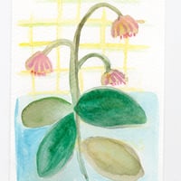 Image 1 of Flowers from a picnic Original Watercolor