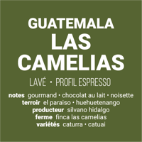 Image 2 of Las Camelias - Guatemala | ESPRESSO