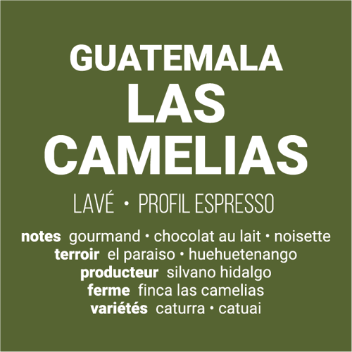 Image of Las Camelias - Guatemala | ESPRESSO