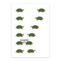 Image of Turtles - A4 - signed