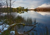 A time for reflection exclusive print