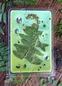 Image 6 of Woodland Trail- A Rockytop Wax Works exclusive custom houseblend fragrance 