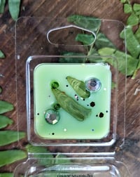 Image 13 of Woodland Trail- A Rockytop Wax Works exclusive custom houseblend fragrance 