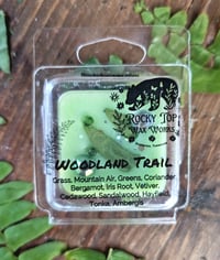 Image 12 of Woodland Trail- A Rockytop Wax Works exclusive custom houseblend fragrance 