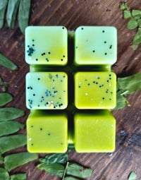 Image 4 of Woodland Trail- A Rockytop Wax Works exclusive custom houseblend fragrance 