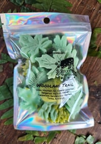 Image 15 of Woodland Trail- A Rockytop Wax Works exclusive custom houseblend fragrance 