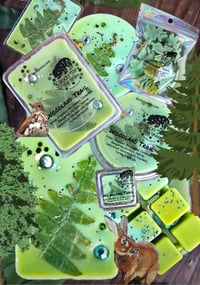 Image 1 of Woodland Trail- A Rockytop Wax Works exclusive custom houseblend fragrance 