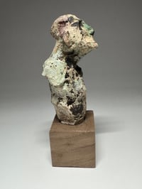Image 4 of "Jerry"