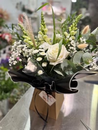 Image 1 of Neutrals & Naturals 