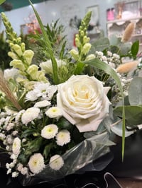Image 3 of Neutrals & Naturals 