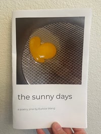 the sunny days - zine
