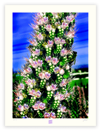 Image 1 of TOWER OF JEWELS (24X18)