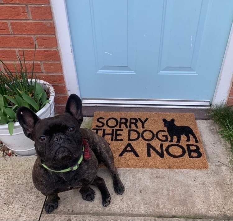 Image of Dog is a nob personalised dog breed coir door mat. Naughty dog / New home / House decor / House w...