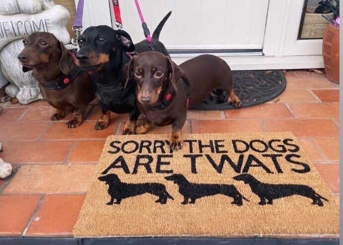Image of Sorry the dogs are twats personalised dog breed coir door mat. Naughty dog / New home / House dec...