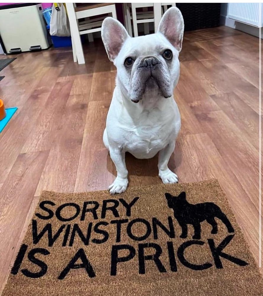 Image of Dog name is a prick personalised dog breed coir door mat. Naughty dog / New home / House decor / ...