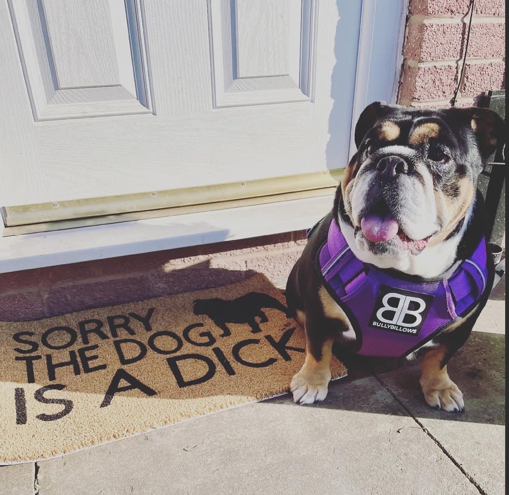 Image of Dog is a dick personalised dog breed coir door mat. Naughty dog / New home / House decor / House ...