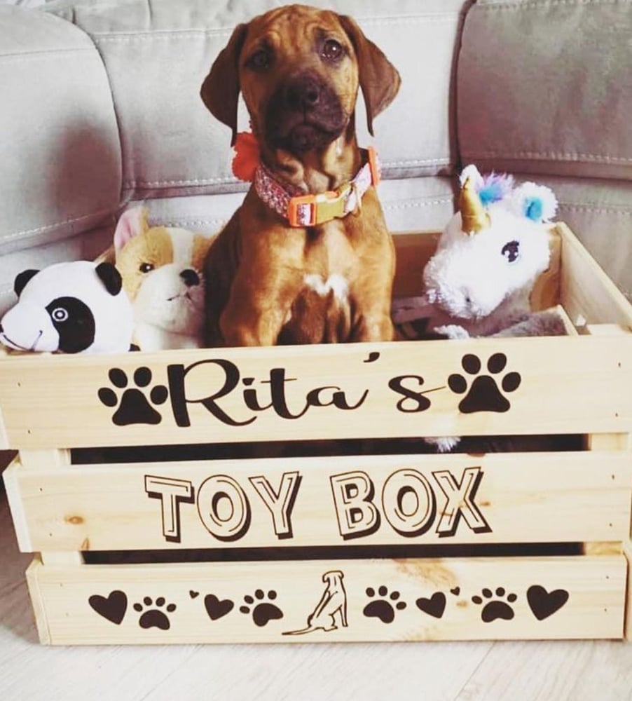 Image of Personalised dog puppy wooden toy crate storage box. Makes great birthday gifts. Personalised wit...