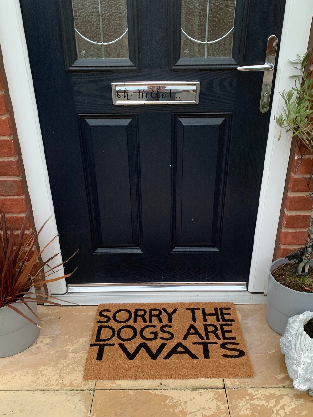 Image of Sorry the dogs are twats. No silhouette just the writing. Hand painted. Makes the perfect funny g...
