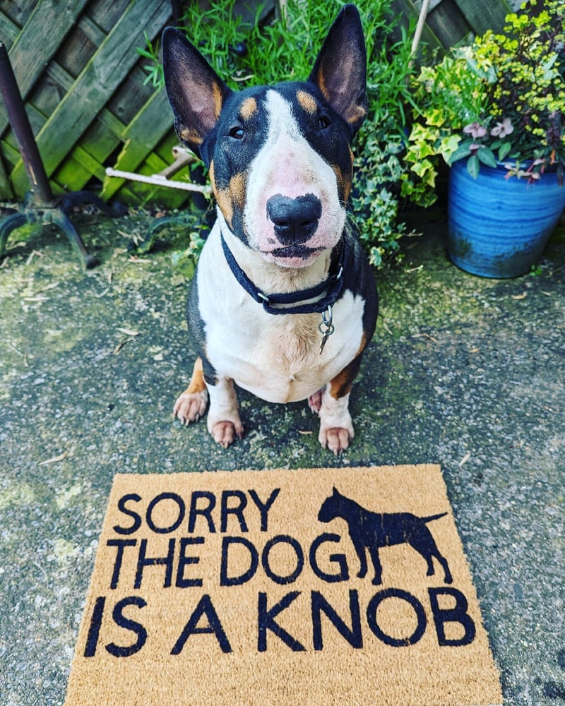 Image of Dog is a Knob personalised dog breed coir door mat. Naughty dog / New home / House decor / House ...
