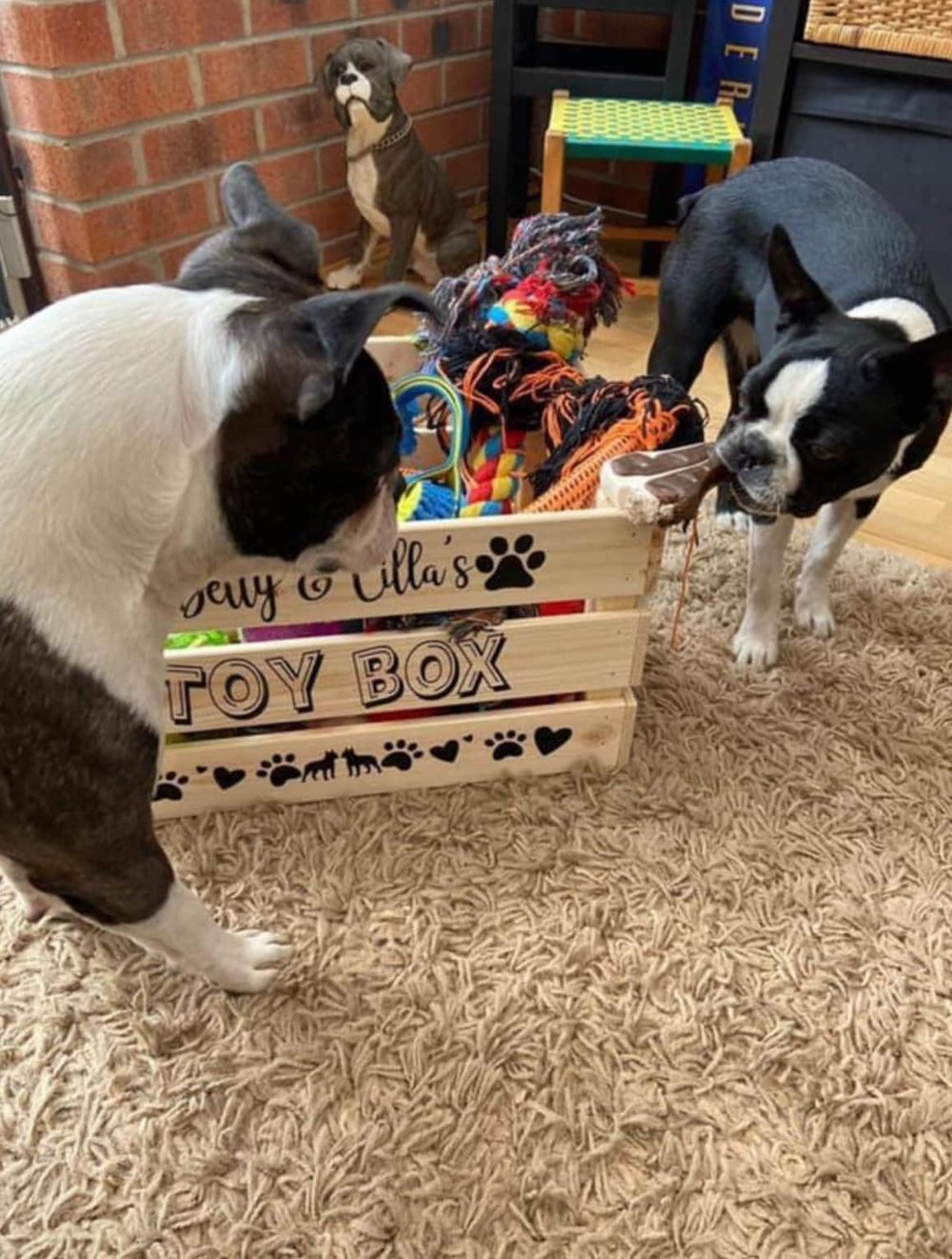 Image of Personalised dog puppy wooden toy crate storage box. Makes great birthday gifts. Personalised wit...