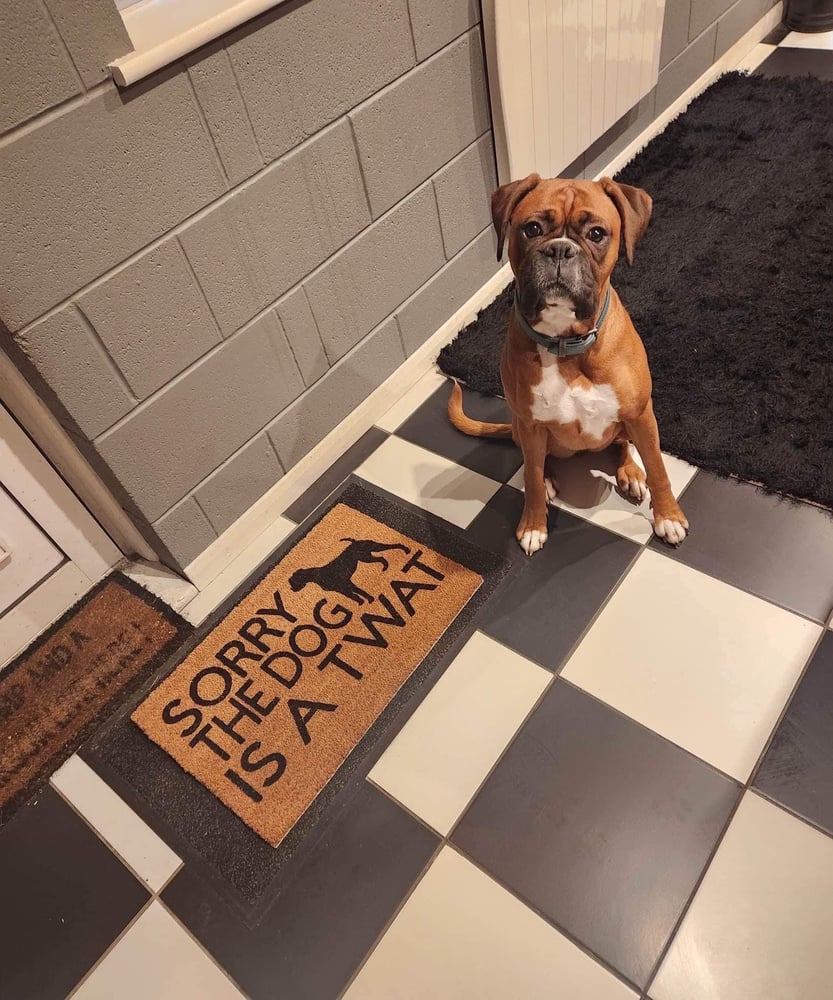 Image of Dog is a twat personalised dog breed coir door mat. Naughty dog / New home / House decor / House ...