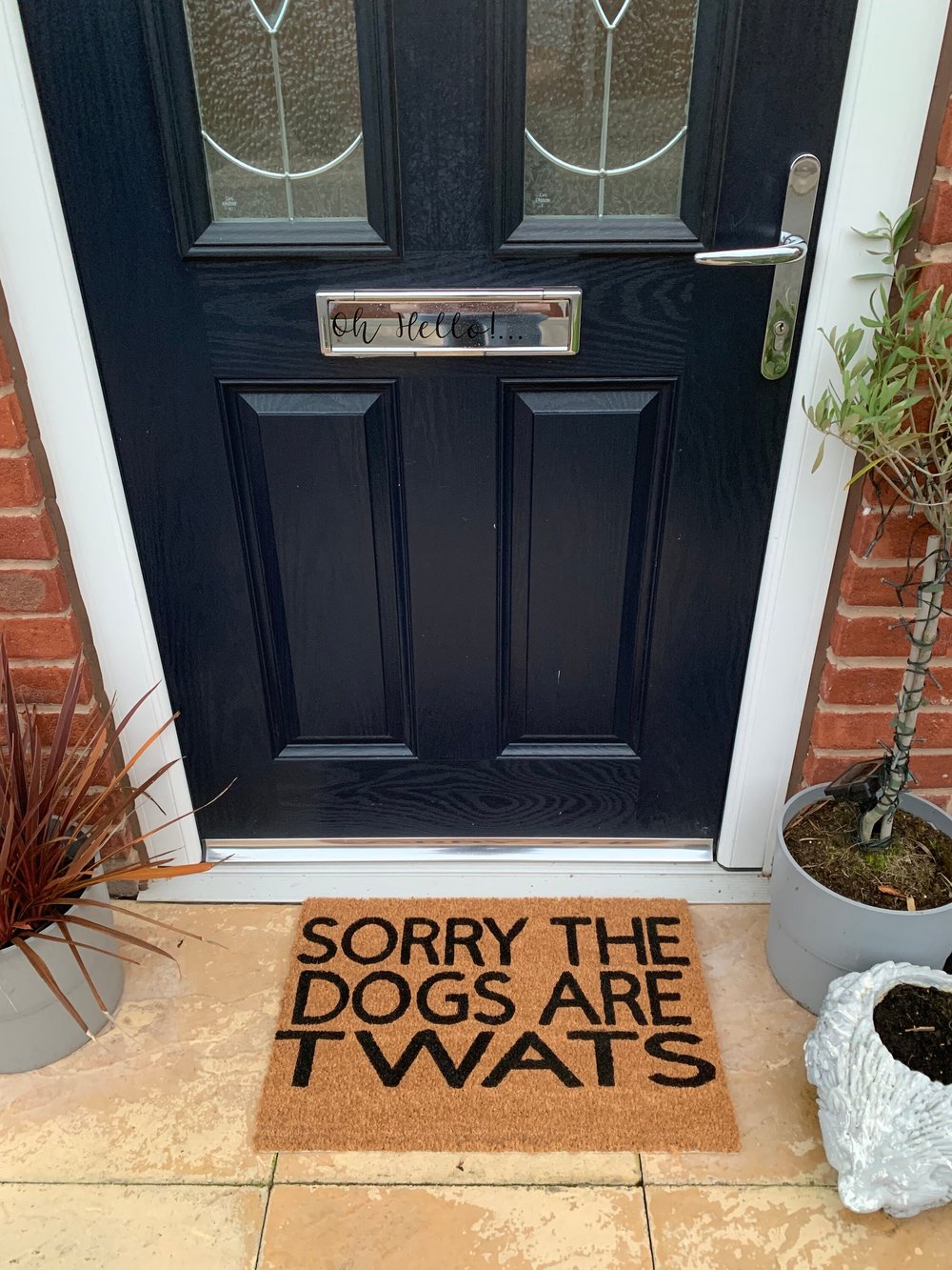 Image of Sorry the dogs are twats. No silhouette just the writing. Hand painted. Makes the perfect funny g...