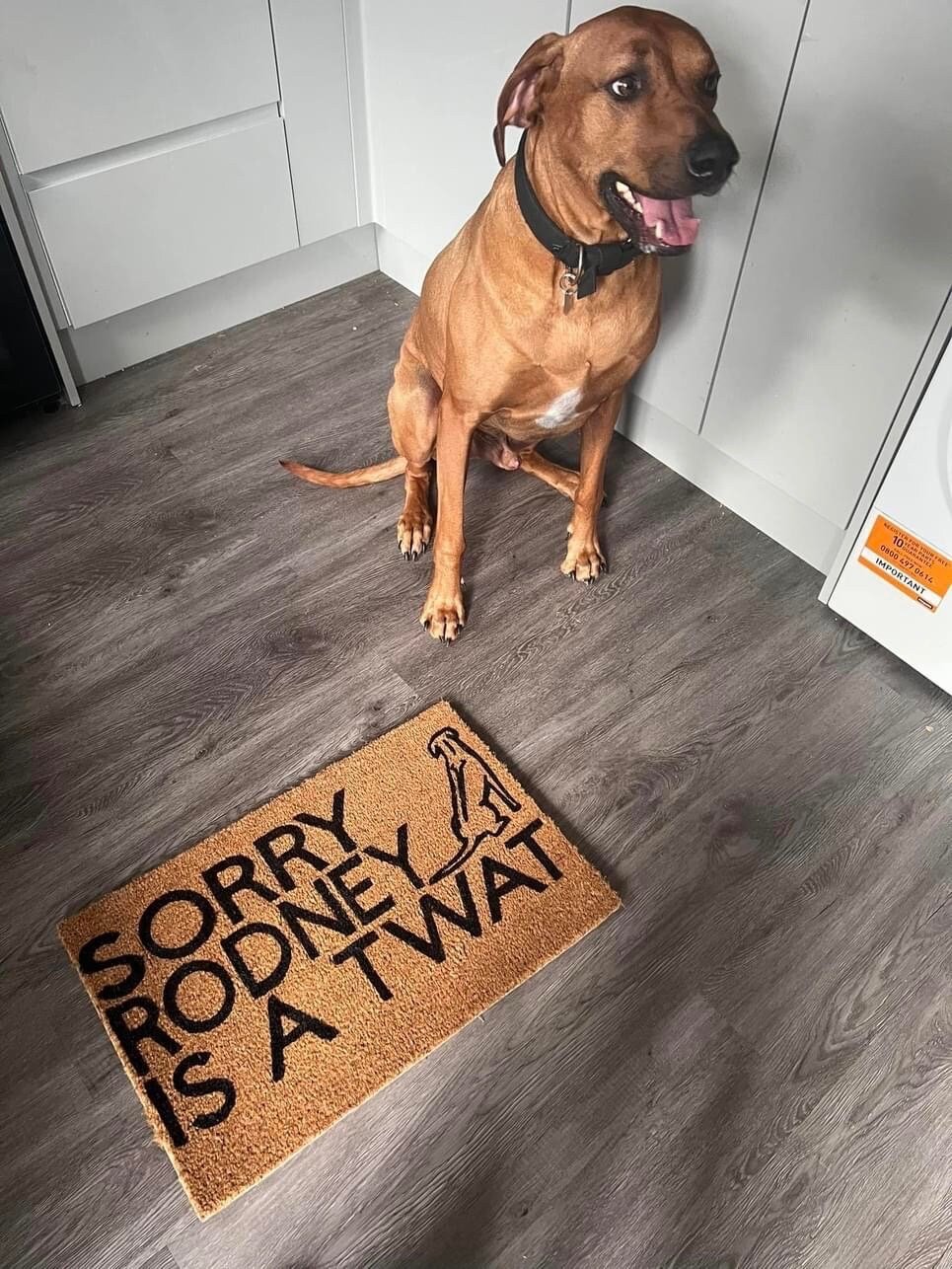 Image of Dog name is a twat personalised dog breed coir door mat. Naughty dog / New home / House decor / H...