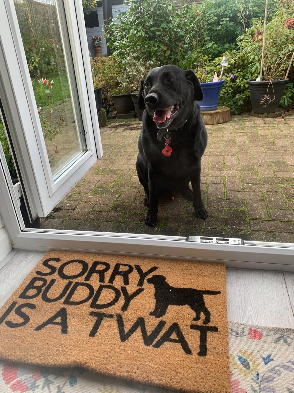 Image of Dog name is a twat personalised dog breed coir door mat. Naughty dog / New home / House decor / H...