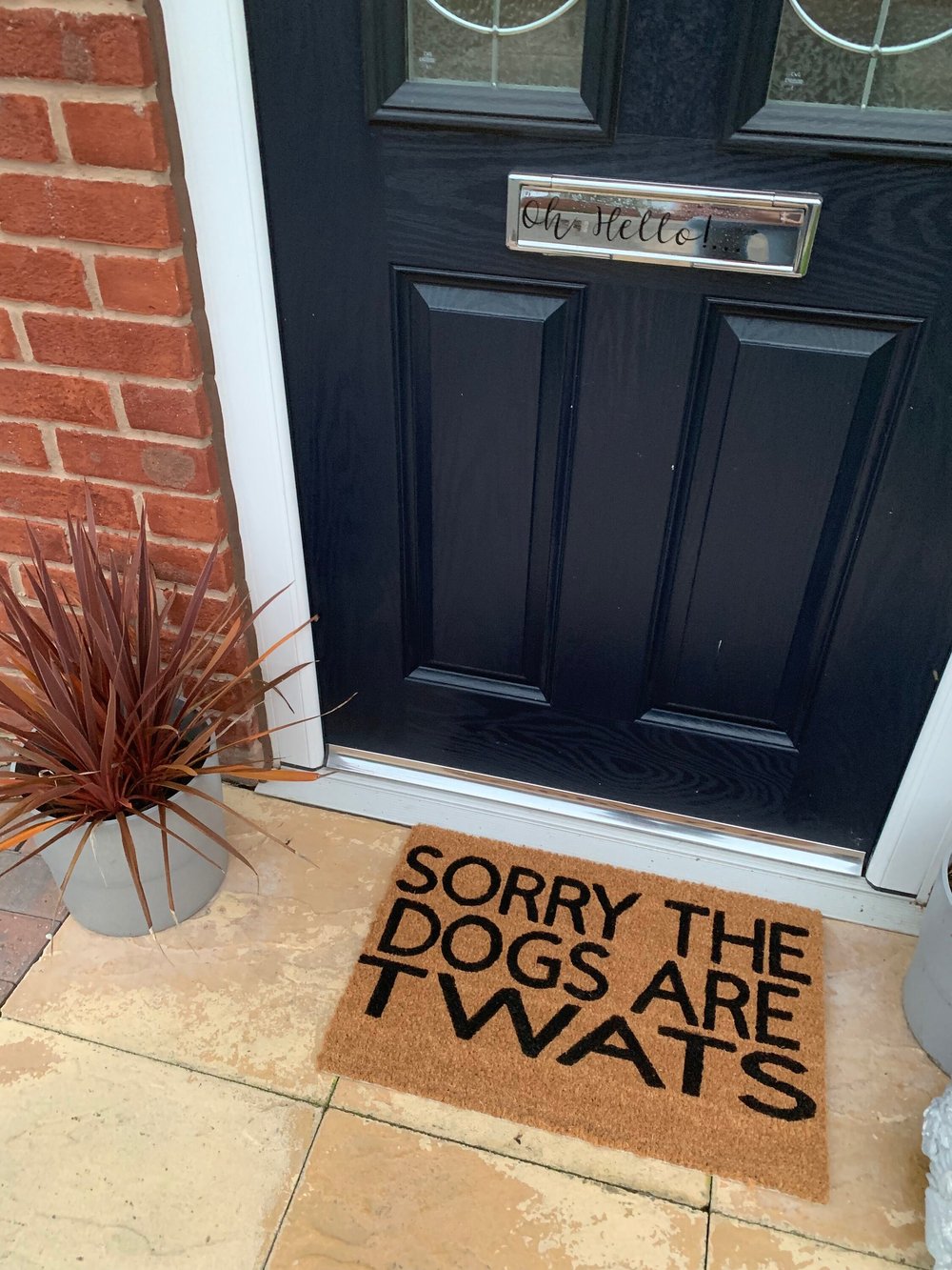Image of Sorry the dogs are twats. No silhouette just the writing. Hand painted. Makes the perfect funny g...