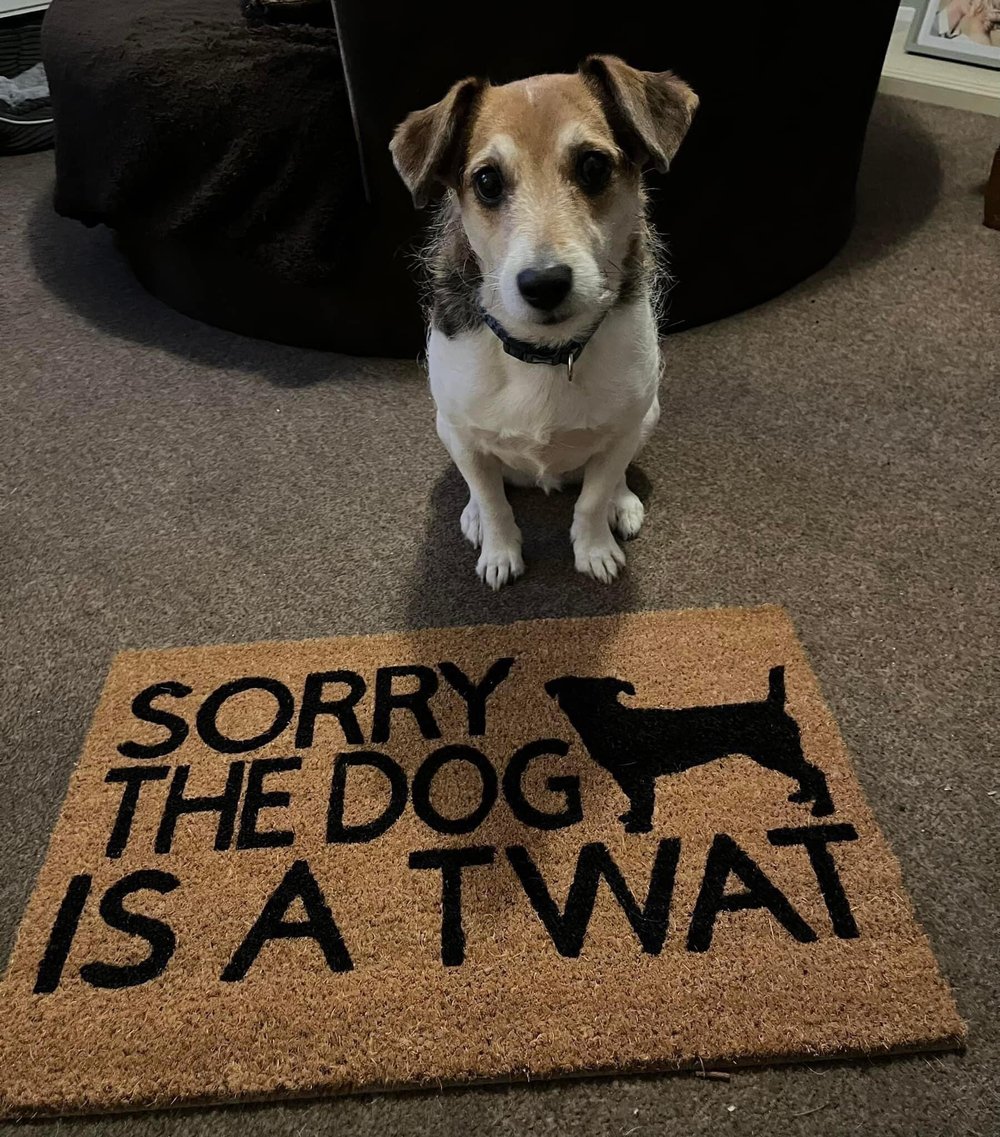 Image of Dog is a twat personalised dog breed coir door mat. Naughty dog / New home / House decor / House ...