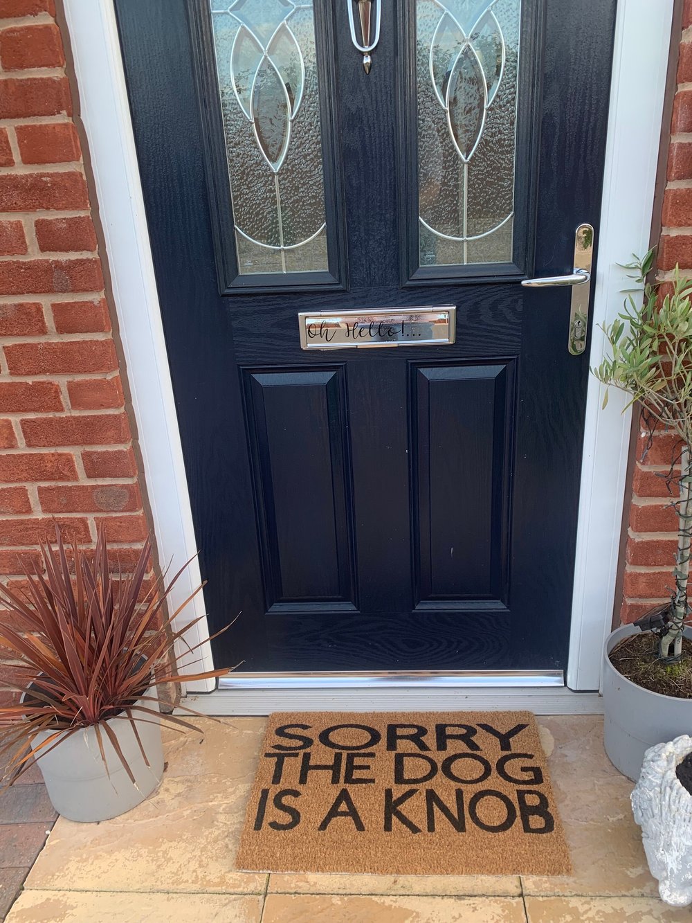 Image of Dog is a Knob personalised door mat. No silhouette just the writing. Hand painted. Makes the perf...