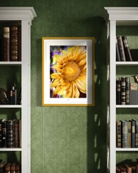 Image 2 of AN UNUSUAL SUNFLOWER (24X18)