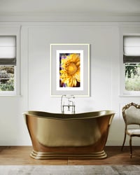 Image 2 of AN UNUSUAL SUNFLOWER (36X24)