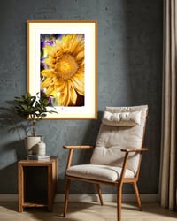 Image 3 of AN UNUSUAL SUNFLOWER (36X24)