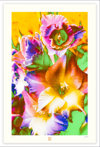 Image 1 of UNREAL COLORS (36X24)