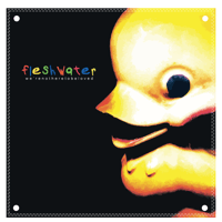 Image 1 of Fleshwater Flag