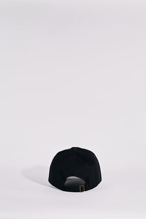 Image of DW Dad Cap