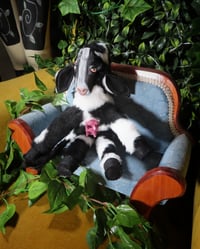Image 2 of Udder Disaster