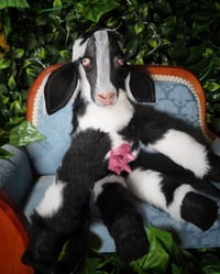 Image 4 of Udder Disaster