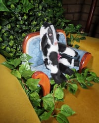 Image 3 of Udder Disaster