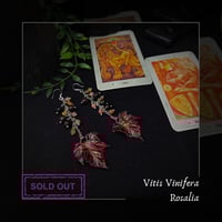 Image 1 of ☽ Vitis Rosalia ☾